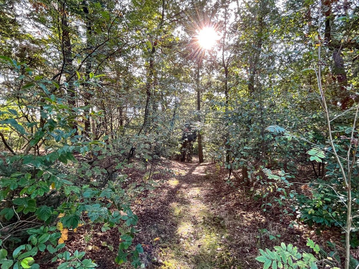 Modern Natuurhuisje Midden In Het Bos Op De Veluwe - Beau Home Otterlo Esterno foto