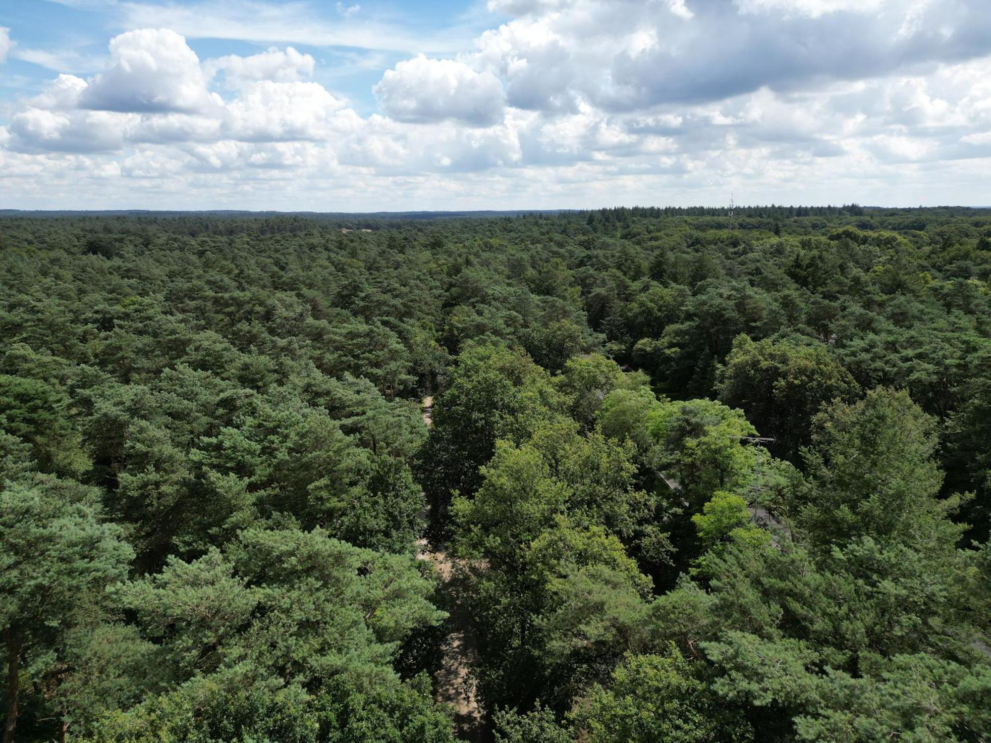 Modern Natuurhuisje Midden In Het Bos Op De Veluwe - Beau Home Otterlo Esterno foto