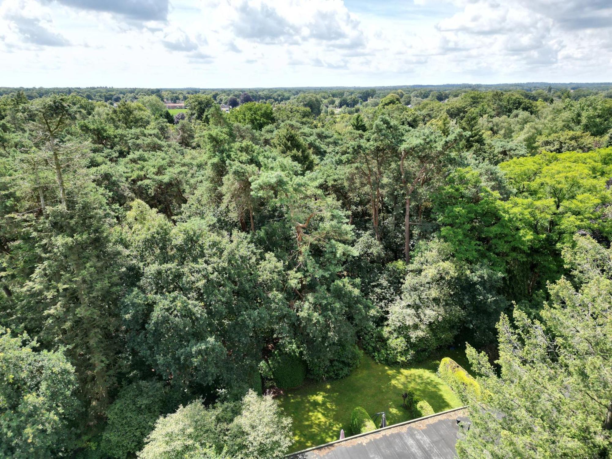 Modern Natuurhuisje Midden In Het Bos Op De Veluwe - Beau Home Otterlo Esterno foto