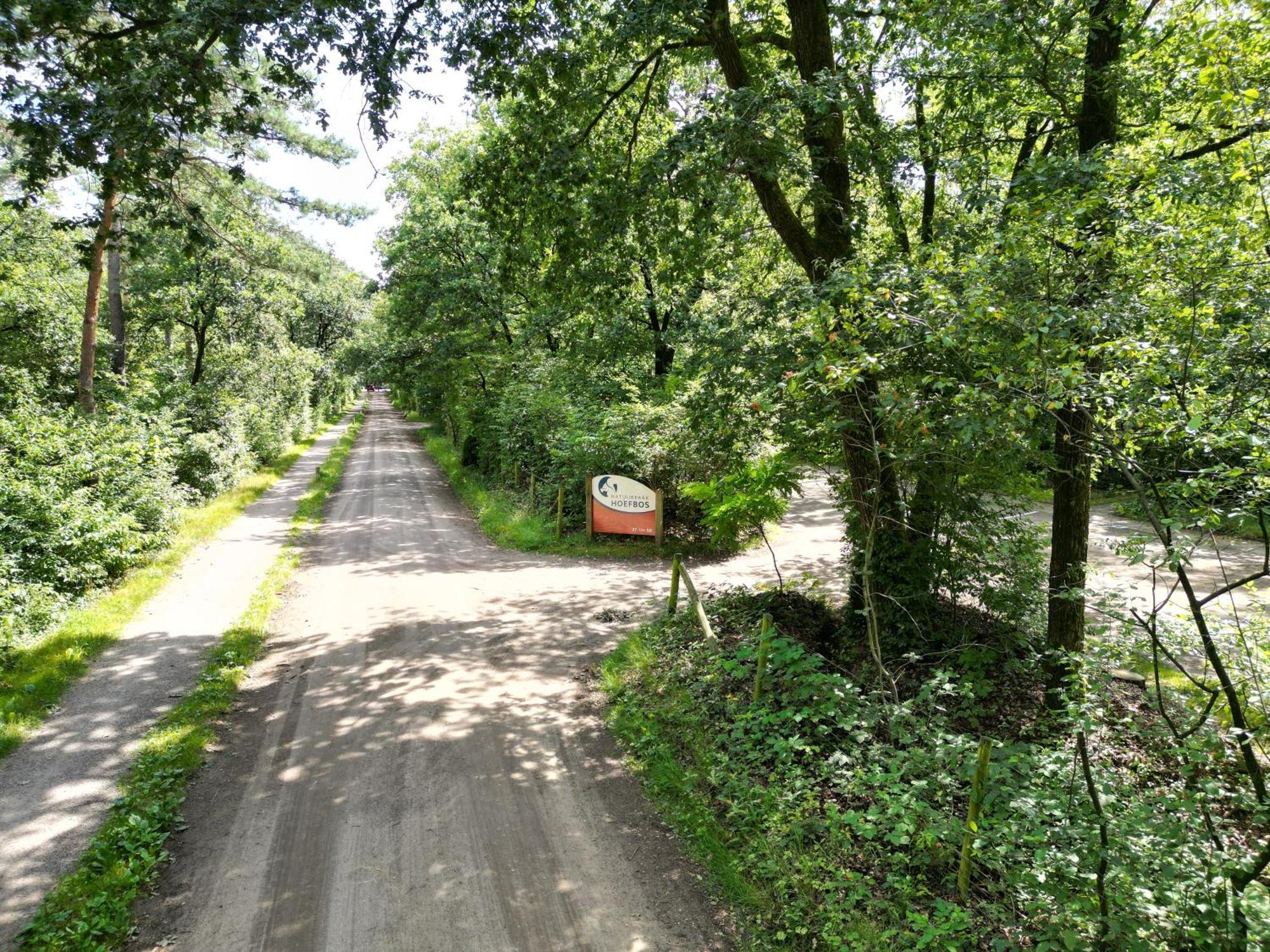 Modern Natuurhuisje Midden In Het Bos Op De Veluwe - Beau Home Otterlo Esterno foto