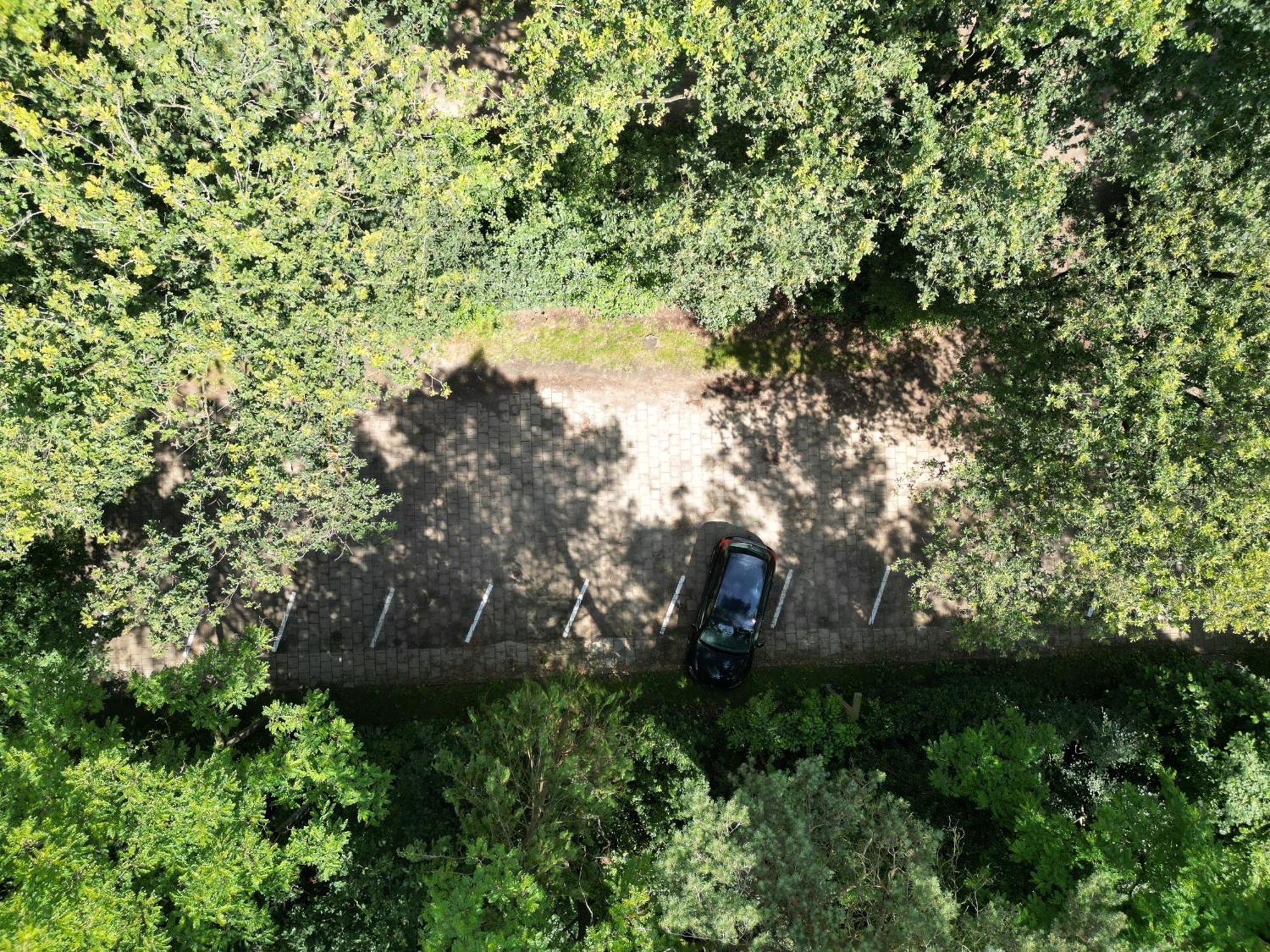 Modern Natuurhuisje Midden In Het Bos Op De Veluwe - Beau Home Otterlo Esterno foto